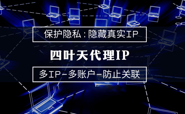 【内蒙古代理IP】代理服务器的类型有哪些？四叶天代理IP怎么样